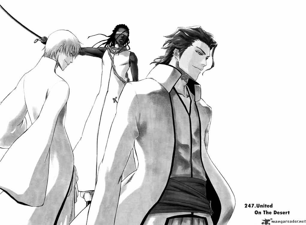 Bleach, Chapter 247