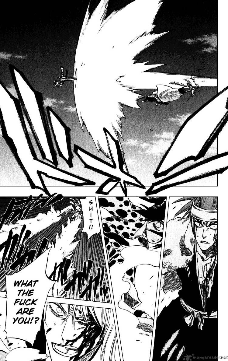 Bleach, Chapter 207