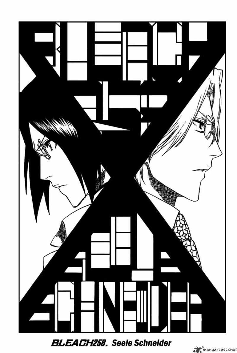 Bleach, Chapter 258