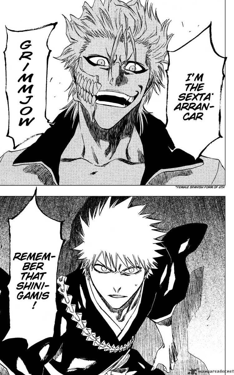 Bleach, Chapter 202