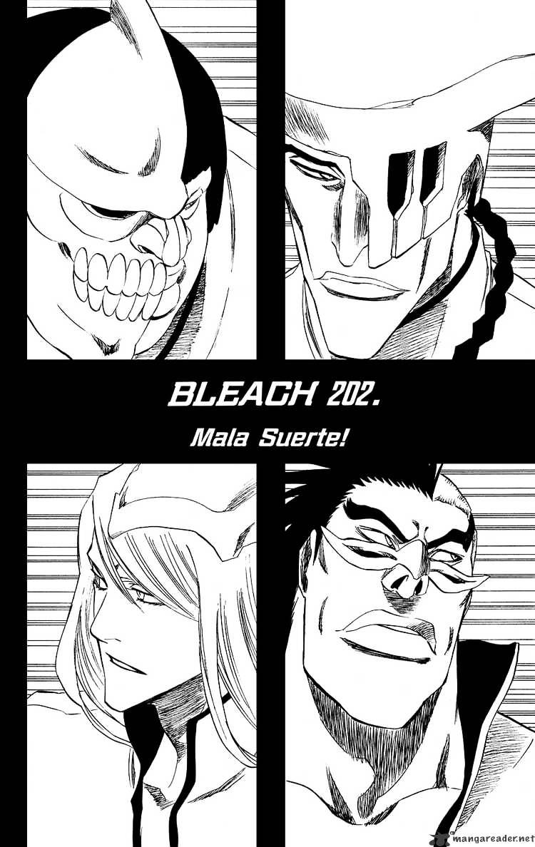 Bleach, Chapter 202