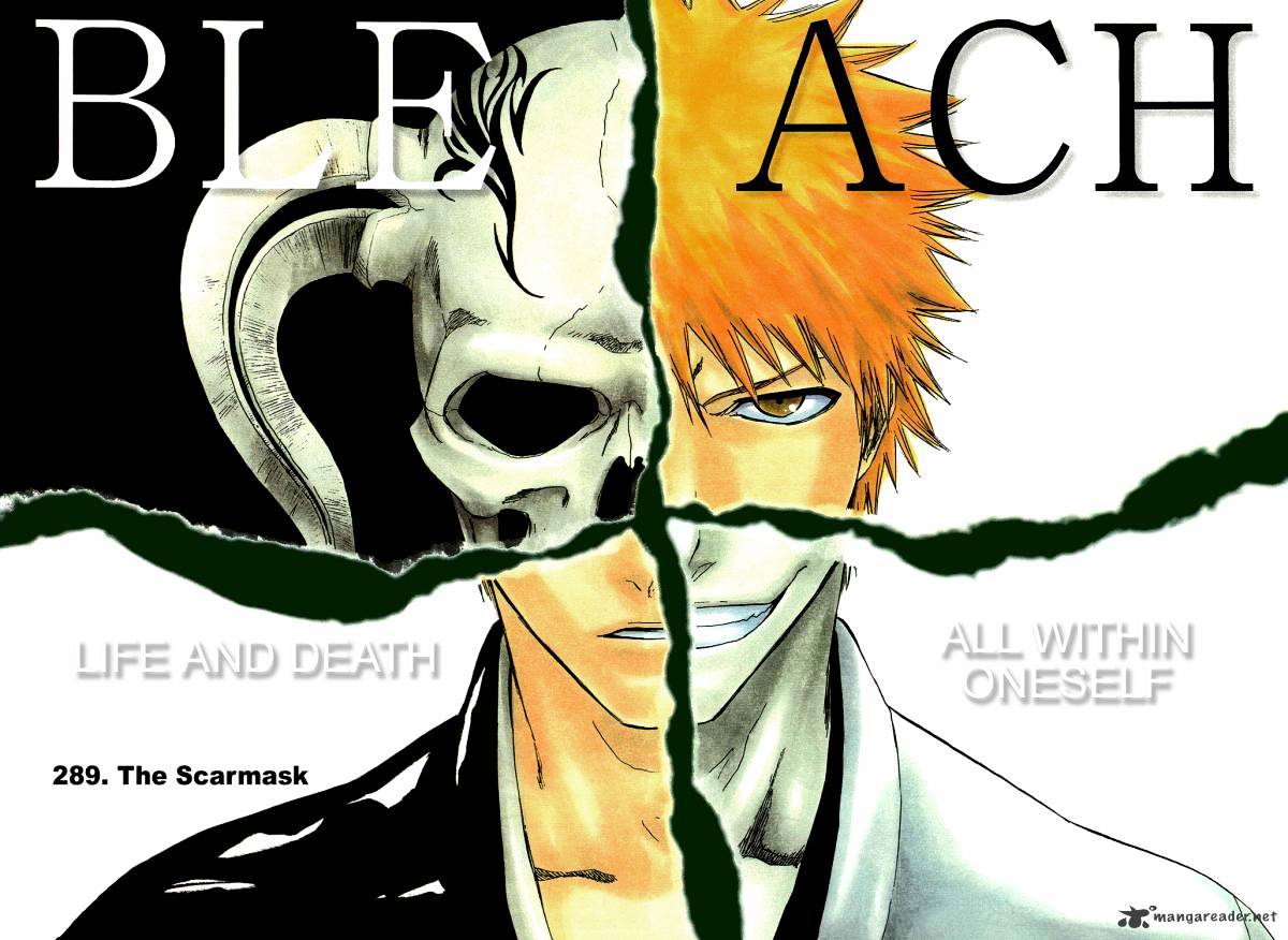 Bleach, Chapter 289