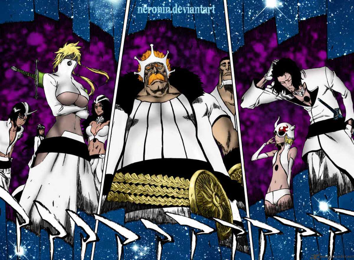 Bleach, Chapter 316