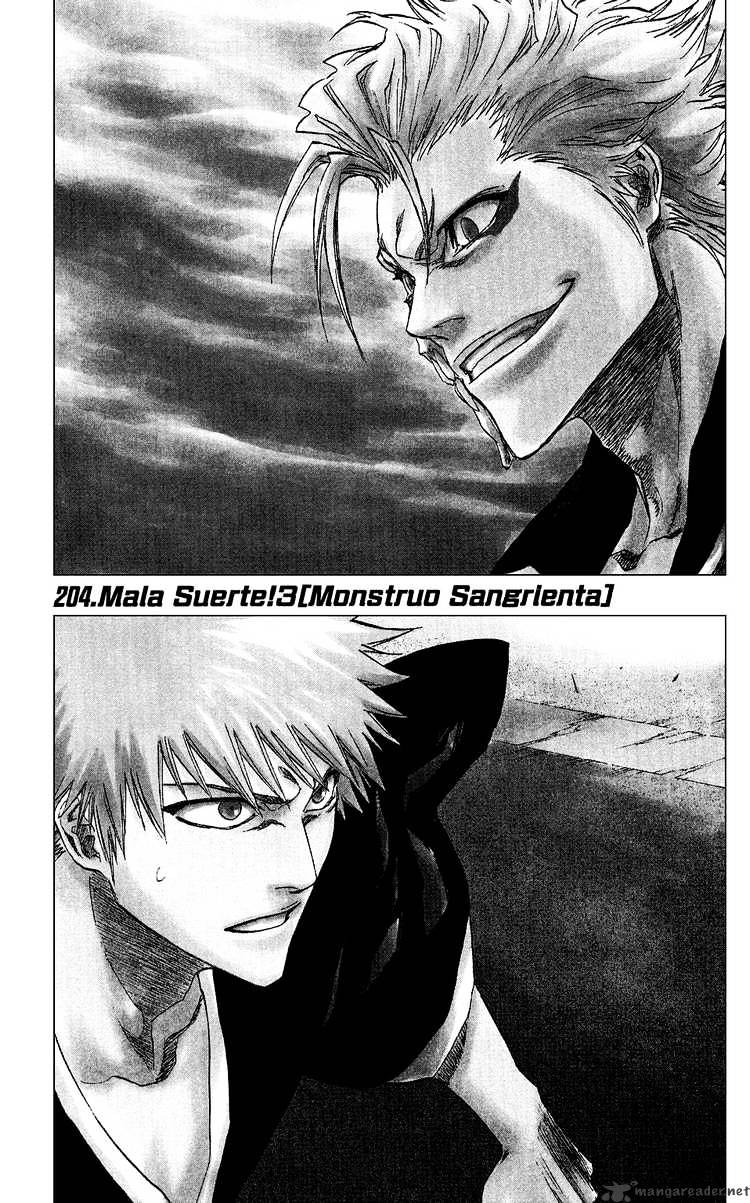 Bleach, Chapter 204