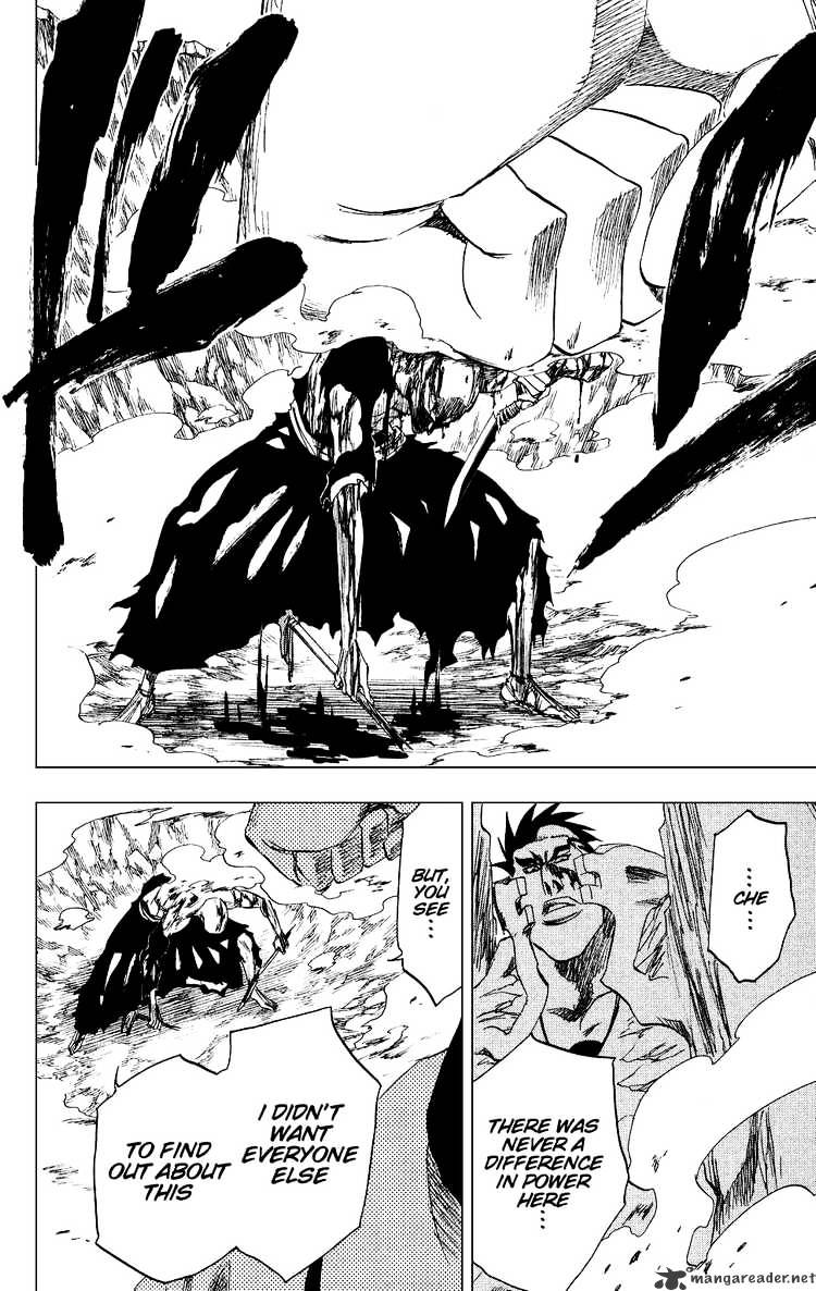 Bleach, Chapter 204