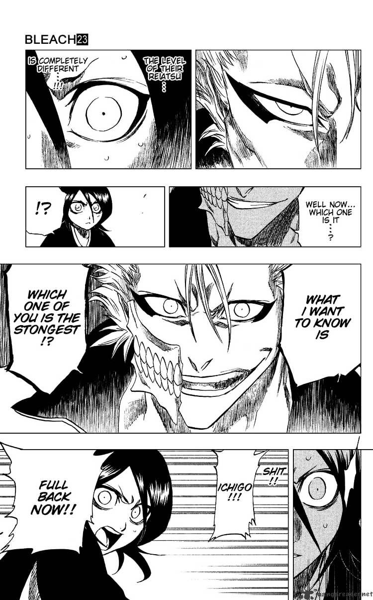 Bleach, Chapter 204