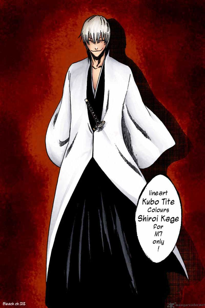 Bleach, Chapter 221