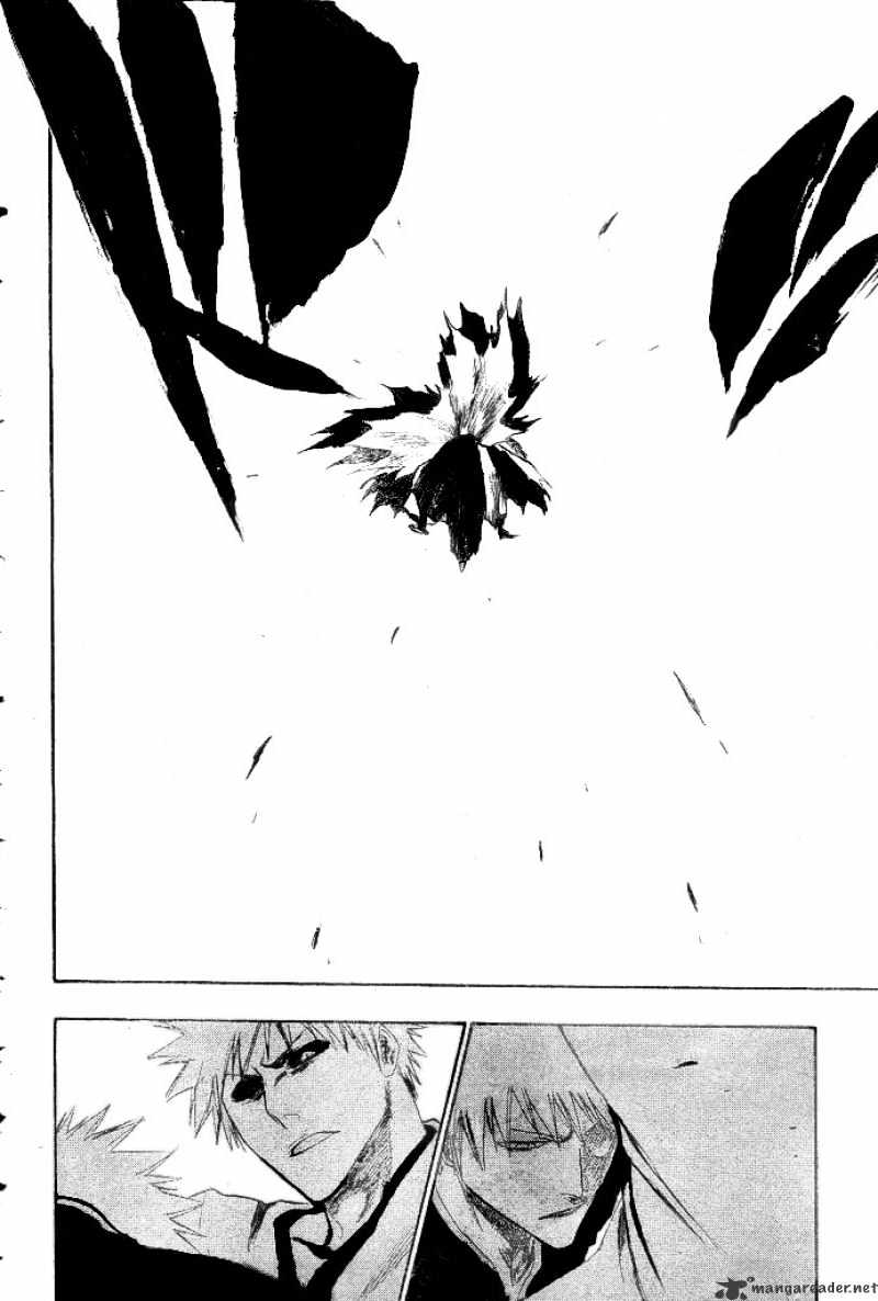 Bleach, Chapter 221