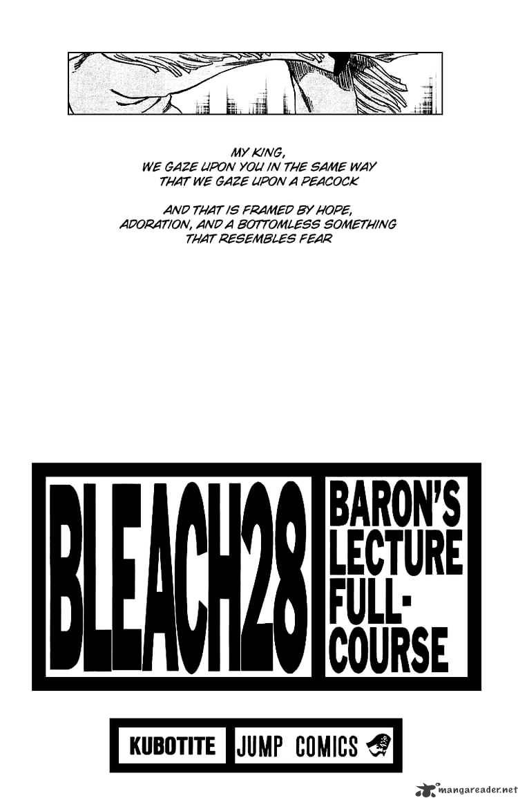 Bleach, Chapter 243