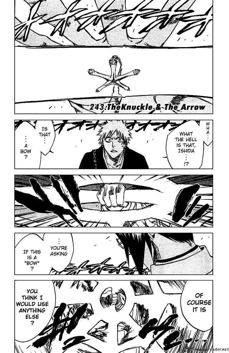 Bleach, Chapter 243