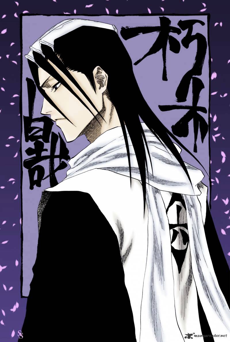 Bleach, Chapter 301