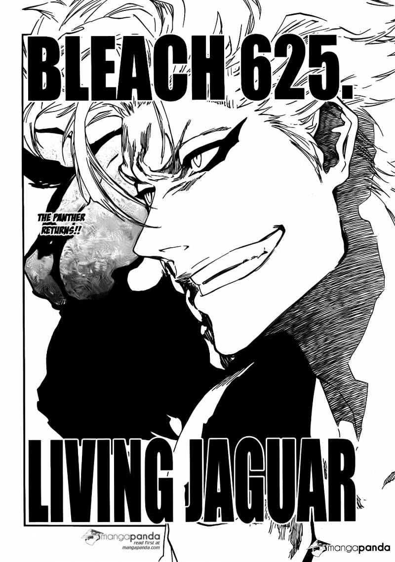 Bleach, Chapter 625