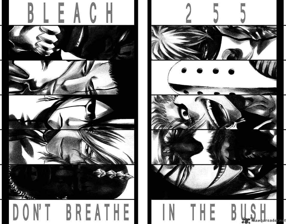 Bleach, Chapter 255