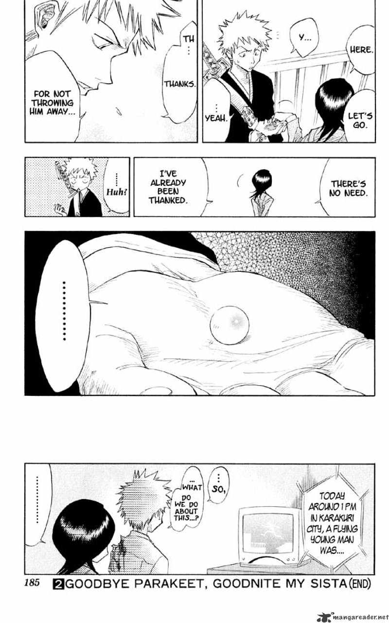 Bleach, Chapter 16