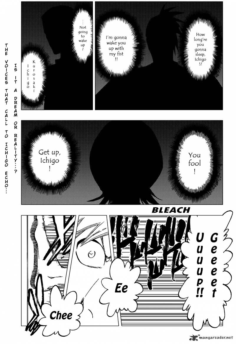 Bleach, Chapter 425