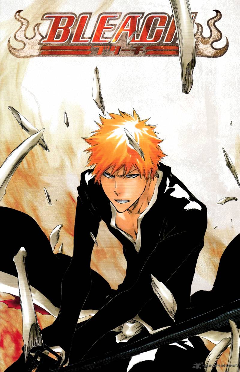 Bleach, Chapter 428