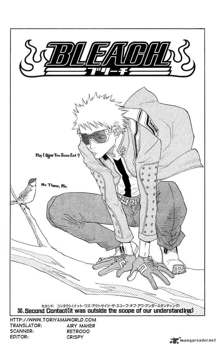 Bleach, Chapter 30