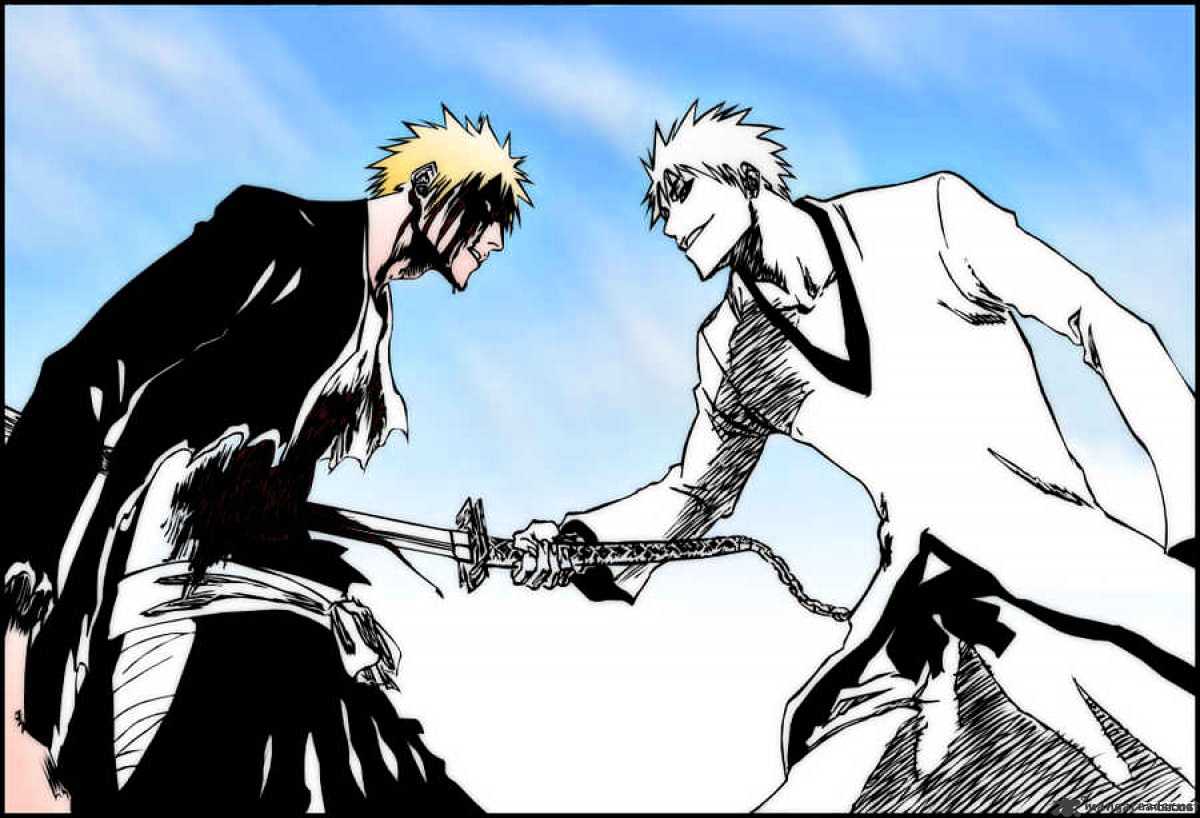 Bleach, Chapter 224