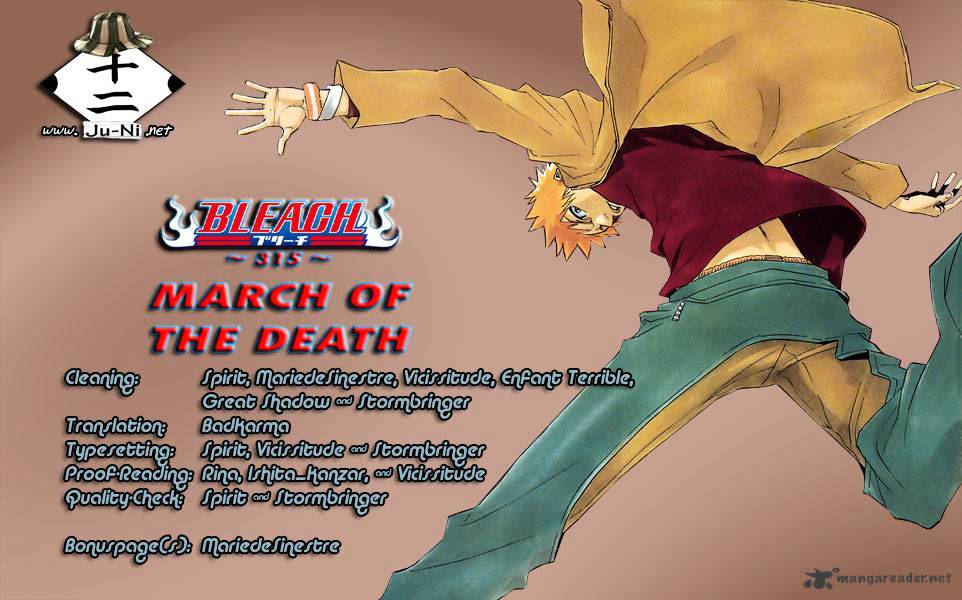 Bleach, Chapter 315