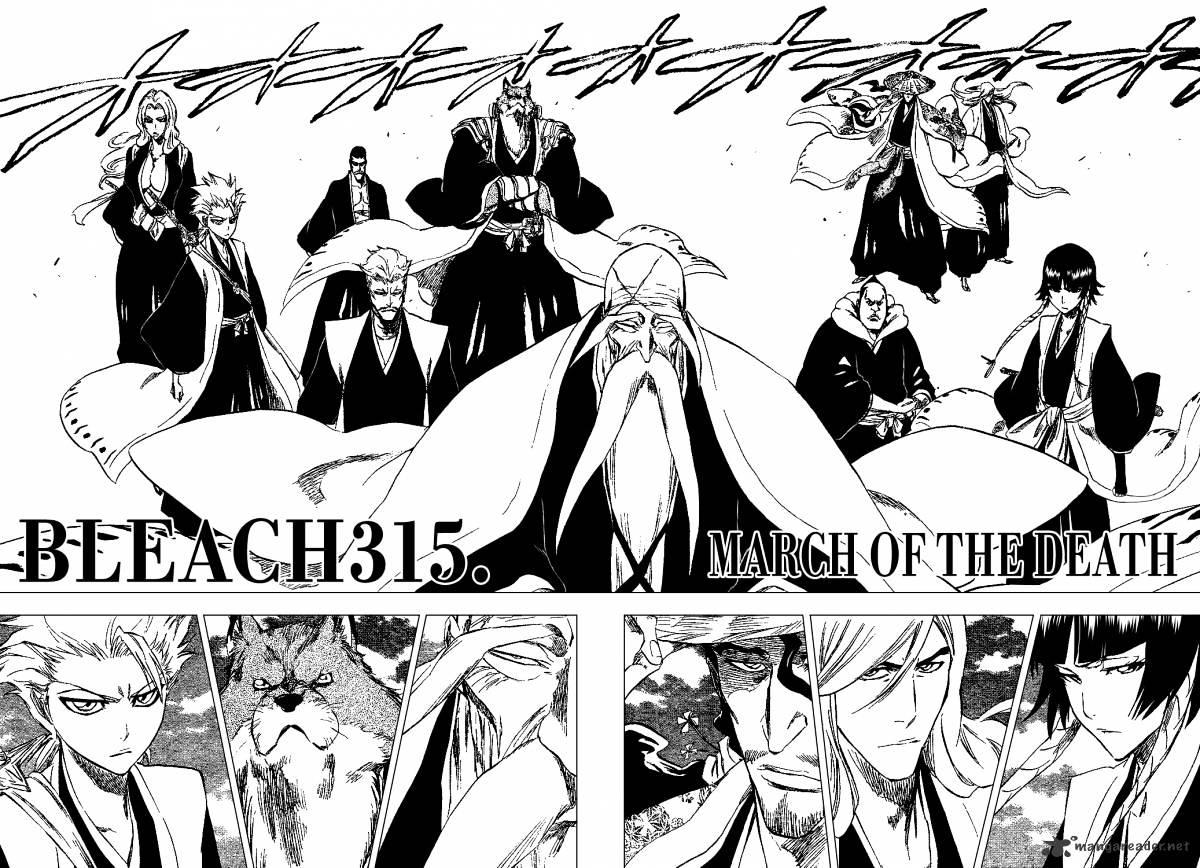 Bleach, Chapter 315