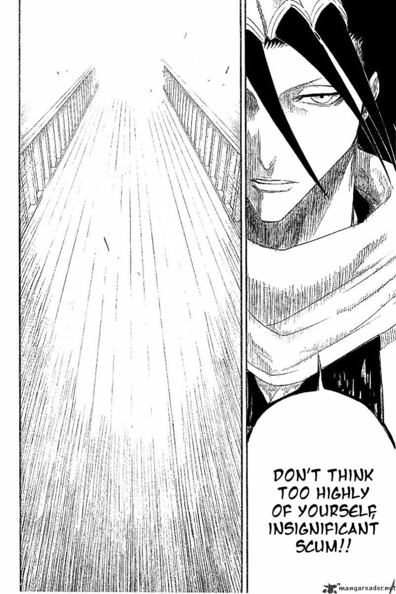 Bleach, Chapter 117