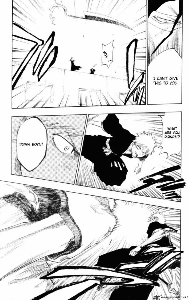 Bleach, Chapter 110