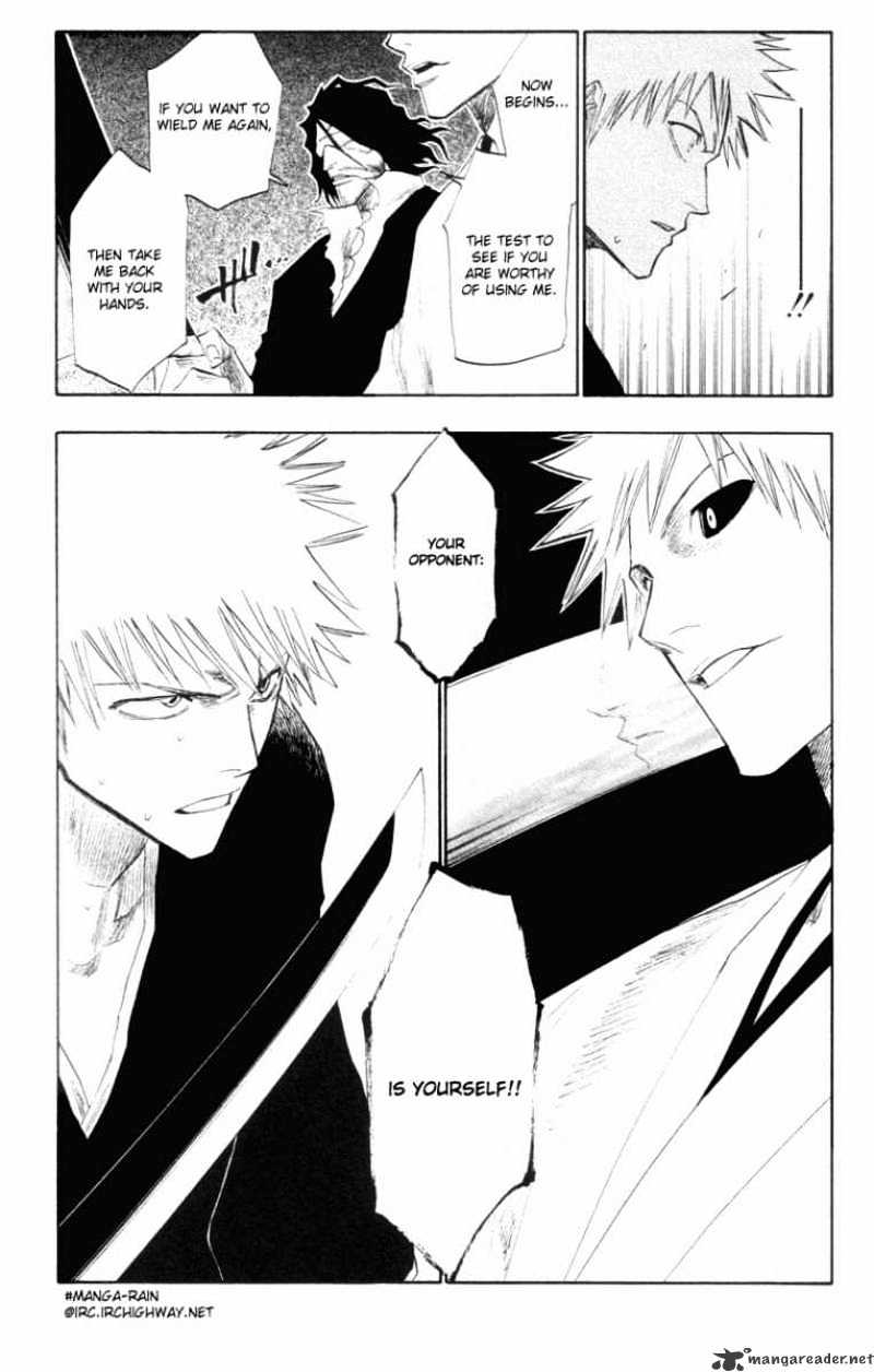 Bleach, Chapter 110