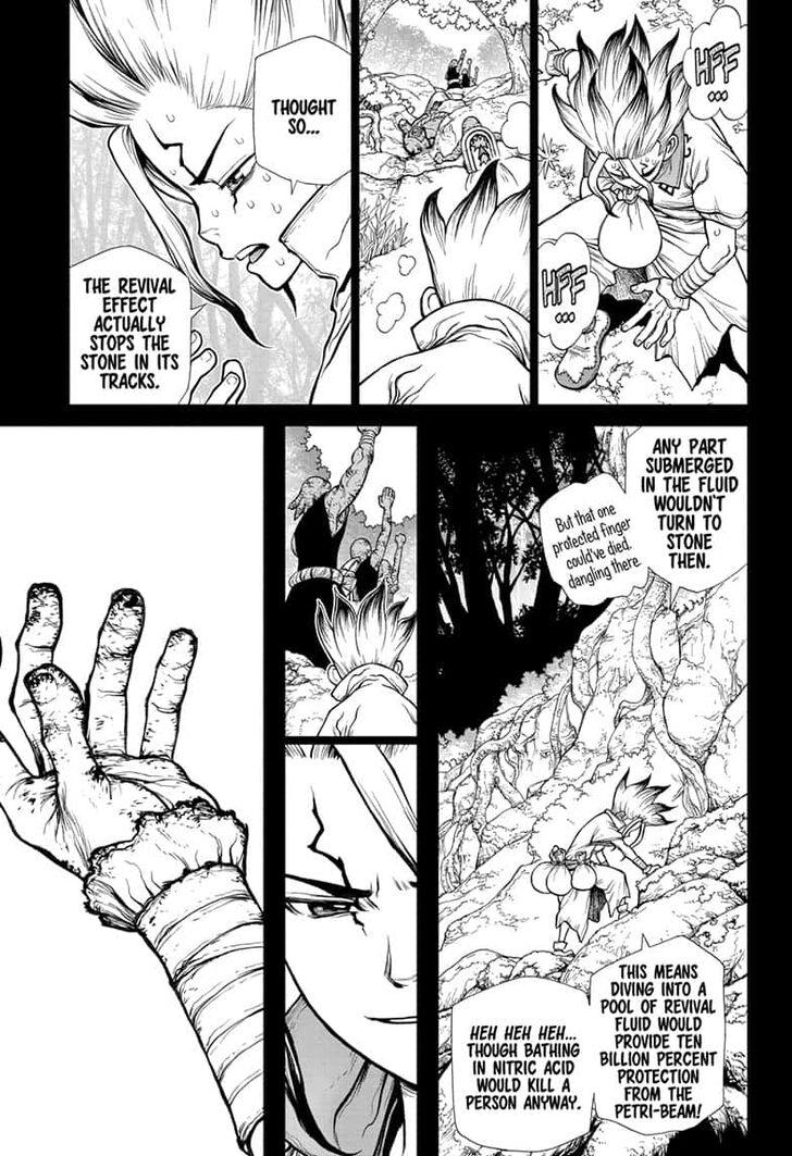Dr. Stone, Chapter 135
