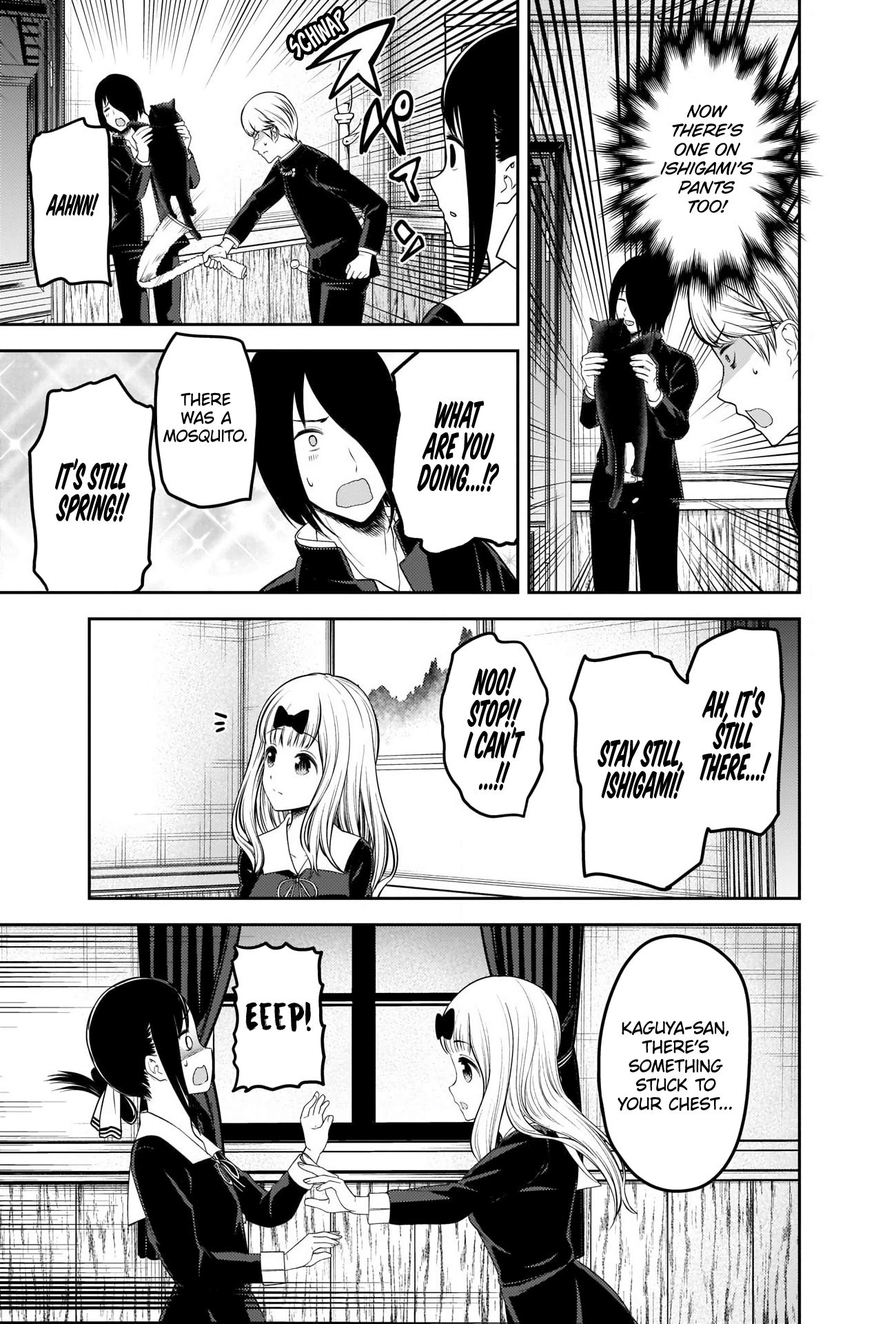 Kaguya-Sama Love Is War, chapter 217