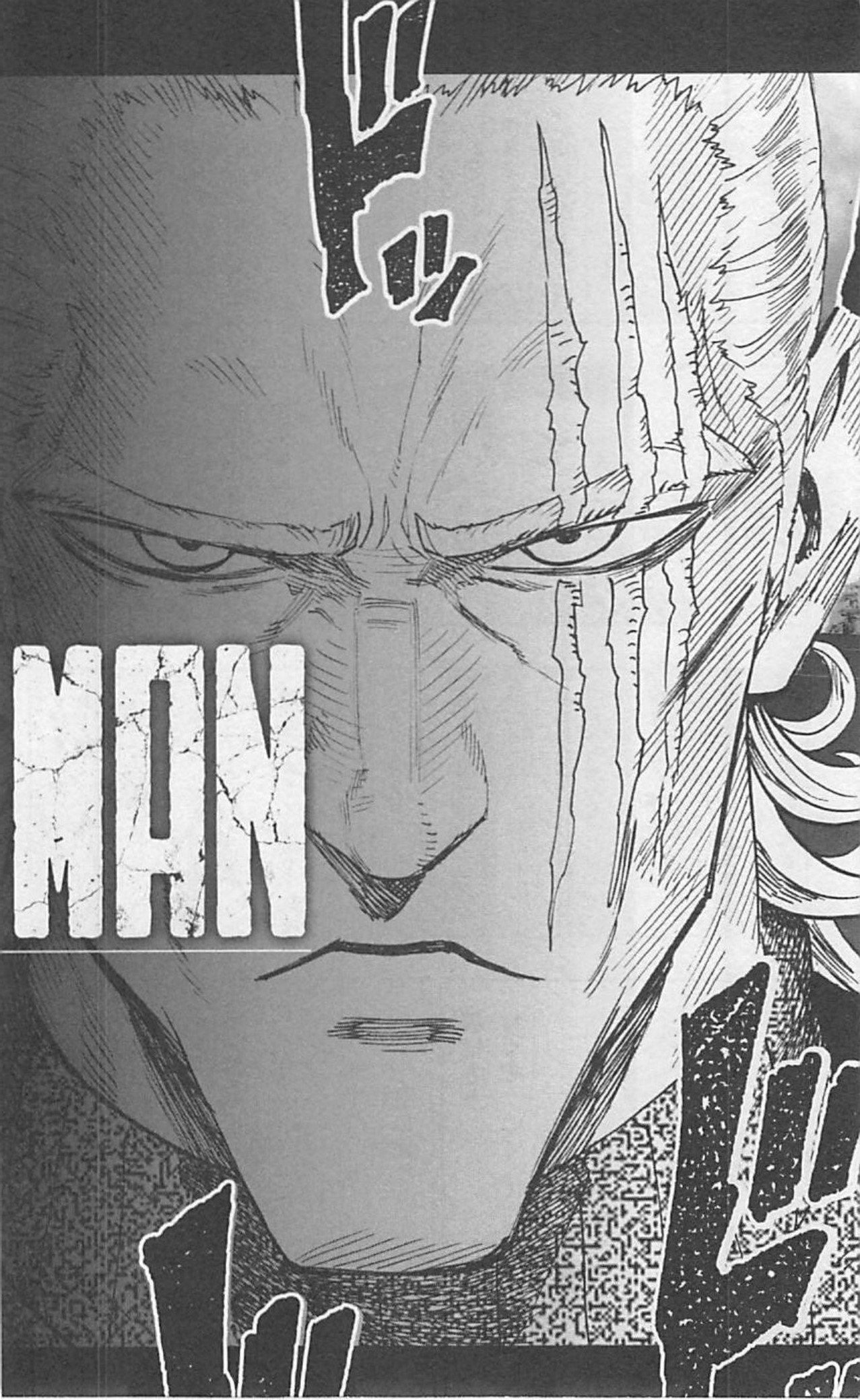 33 One-Punch Man Manga Online