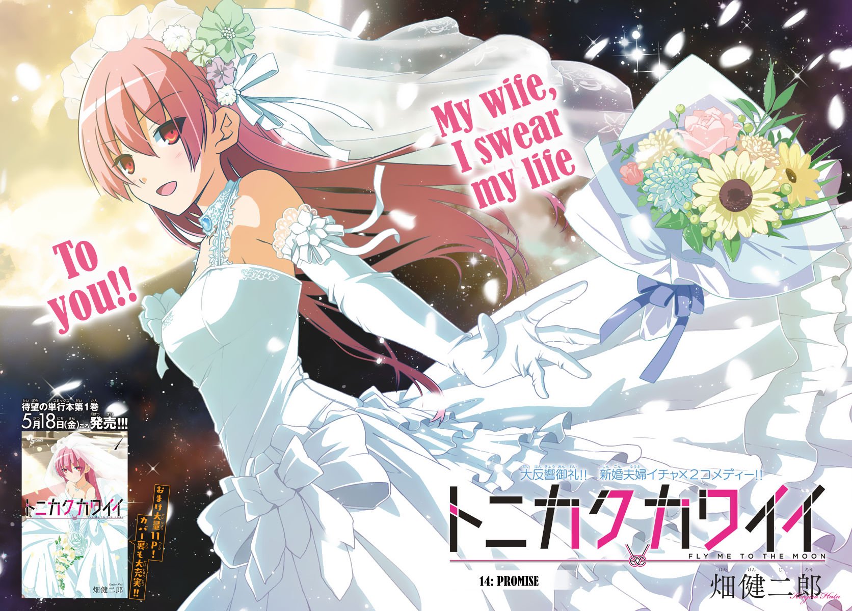 Fly Me To The Moon, chapter 14