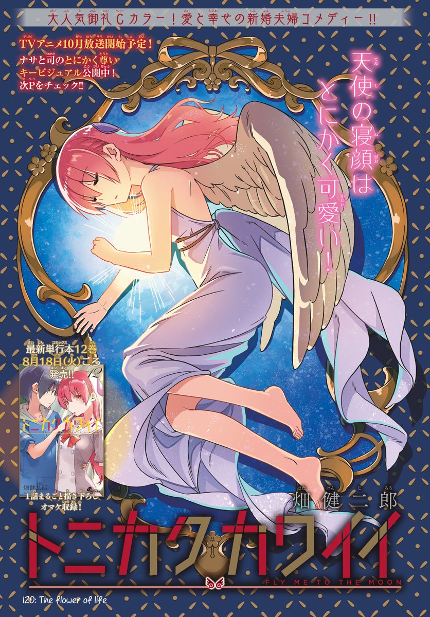 Read Tonikaku Cawaii latest update - Holy Manga