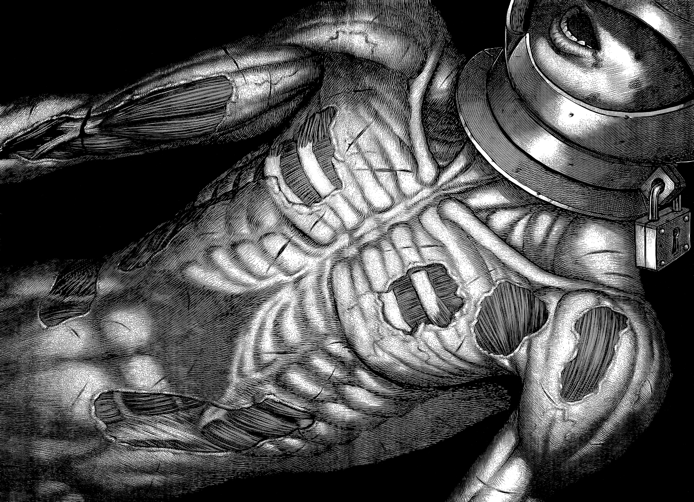 Berserk, chapter 355